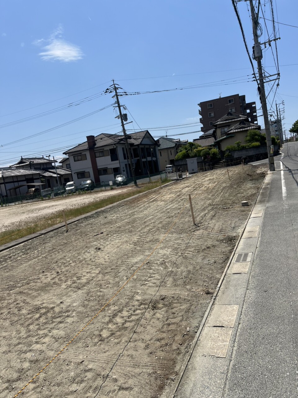 S__150134787_0